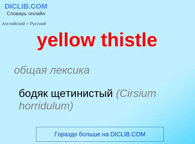 Как переводится yellow thistle на Русский язык