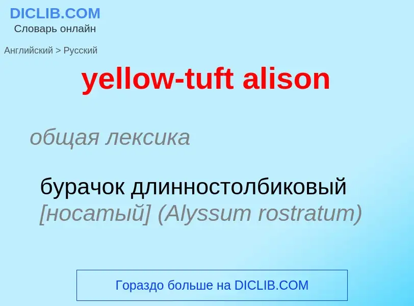 Como se diz yellow-tuft alison em Russo? Tradução de &#39yellow-tuft alison&#39 em Russo