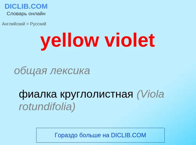 Как переводится yellow violet на Русский язык