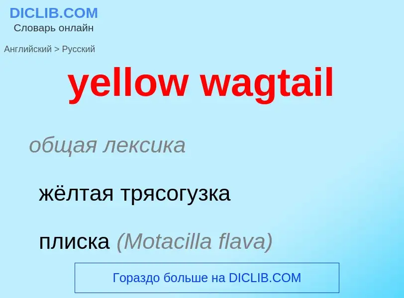 Μετάφραση του &#39yellow wagtail&#39 σε Ρωσικά