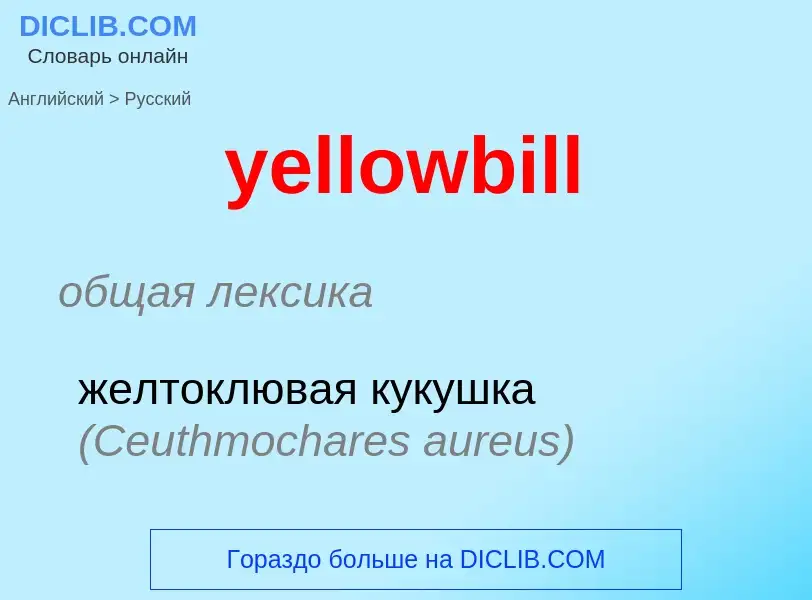 Como se diz yellowbill em Russo? Tradução de &#39yellowbill&#39 em Russo