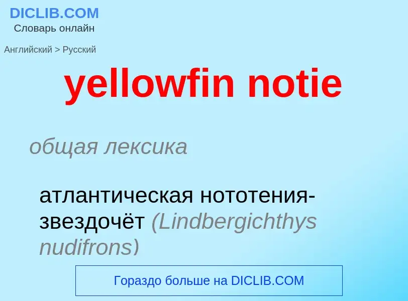 Como se diz yellowfin notie em Russo? Tradução de &#39yellowfin notie&#39 em Russo