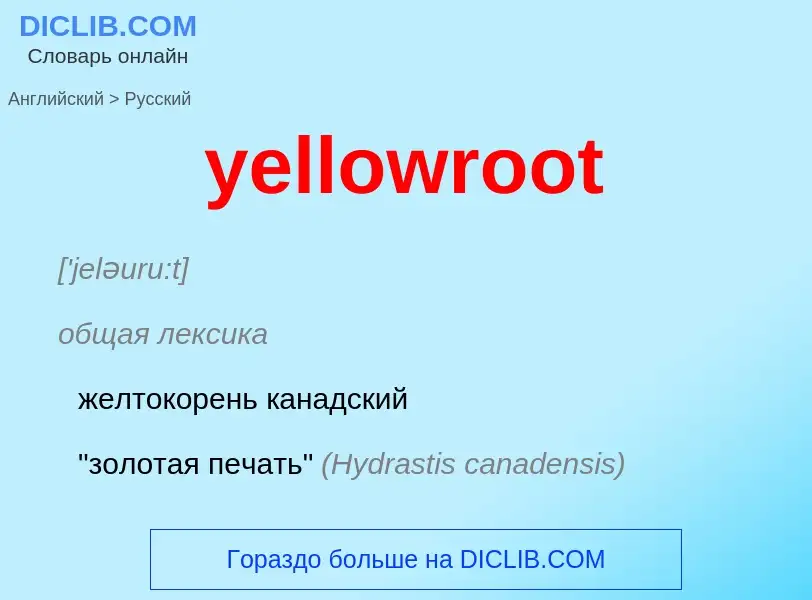 Como se diz yellowroot em Russo? Tradução de &#39yellowroot&#39 em Russo