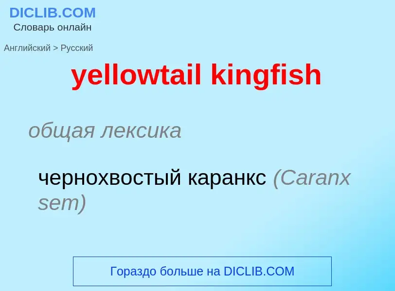 Como se diz yellowtail kingfish em Russo? Tradução de &#39yellowtail kingfish&#39 em Russo