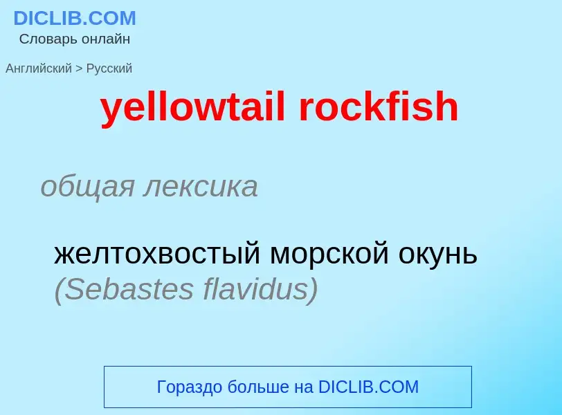 Como se diz yellowtail rockfish em Russo? Tradução de &#39yellowtail rockfish&#39 em Russo