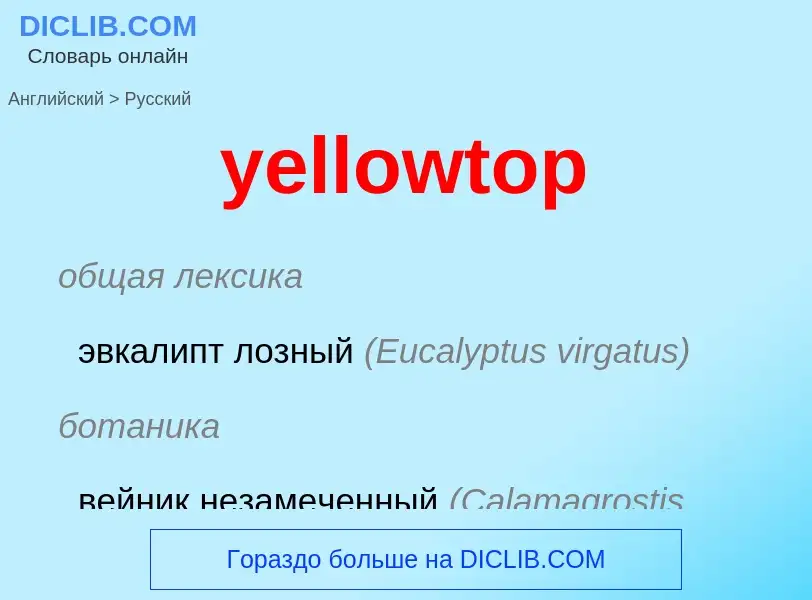 Como se diz yellowtop em Russo? Tradução de &#39yellowtop&#39 em Russo