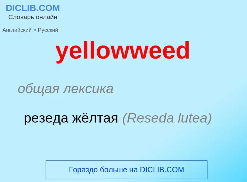 Como se diz yellowweed em Russo? Tradução de &#39yellowweed&#39 em Russo