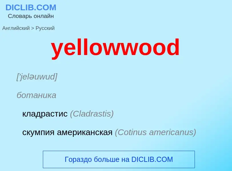 Como se diz yellowwood em Russo? Tradução de &#39yellowwood&#39 em Russo