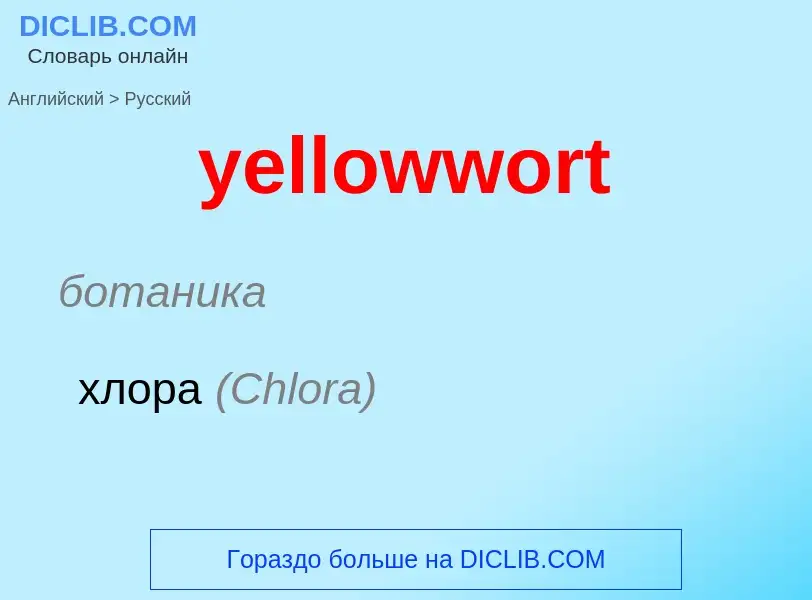 Como se diz yellowwort em Russo? Tradução de &#39yellowwort&#39 em Russo