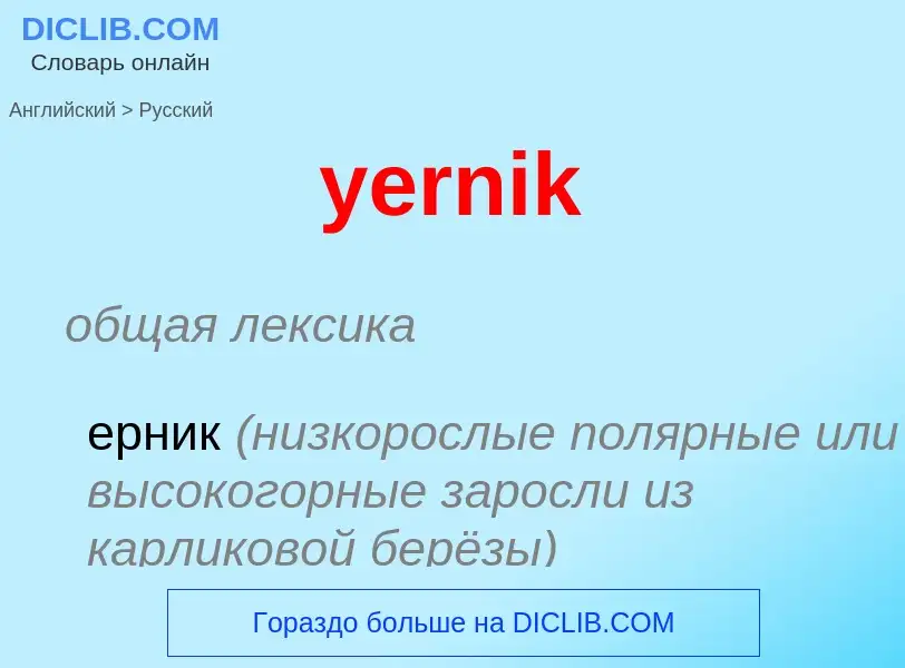 Como se diz yernik em Russo? Tradução de &#39yernik&#39 em Russo