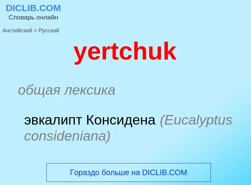 Como se diz yertchuk em Russo? Tradução de &#39yertchuk&#39 em Russo