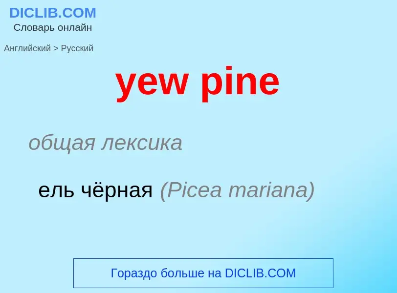 Como se diz yew pine em Russo? Tradução de &#39yew pine&#39 em Russo