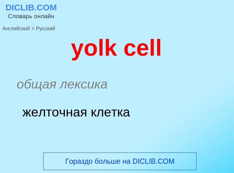 Como se diz yolk cell em Russo? Tradução de &#39yolk cell&#39 em Russo