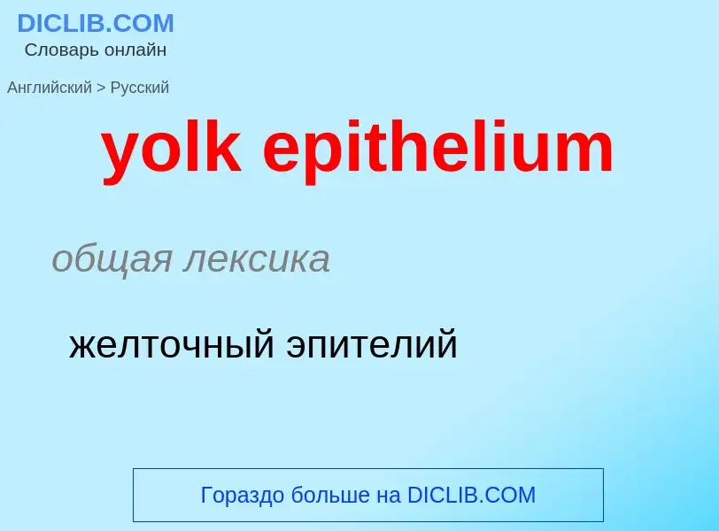 Como se diz yolk epithelium em Russo? Tradução de &#39yolk epithelium&#39 em Russo