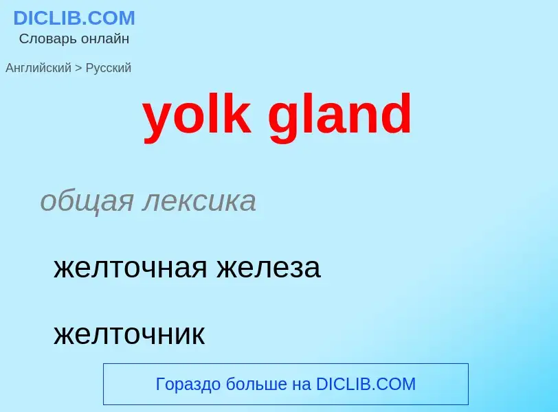 Как переводится yolk gland на Русский язык