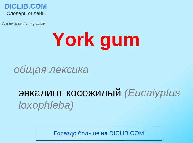 Traduzione di &#39York gum&#39 in Russo