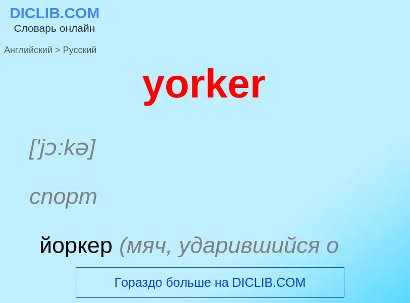 Как переводится yorker на Русский язык