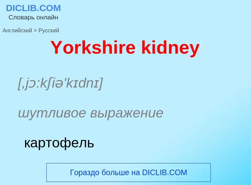 Traduzione di &#39Yorkshire kidney&#39 in Russo