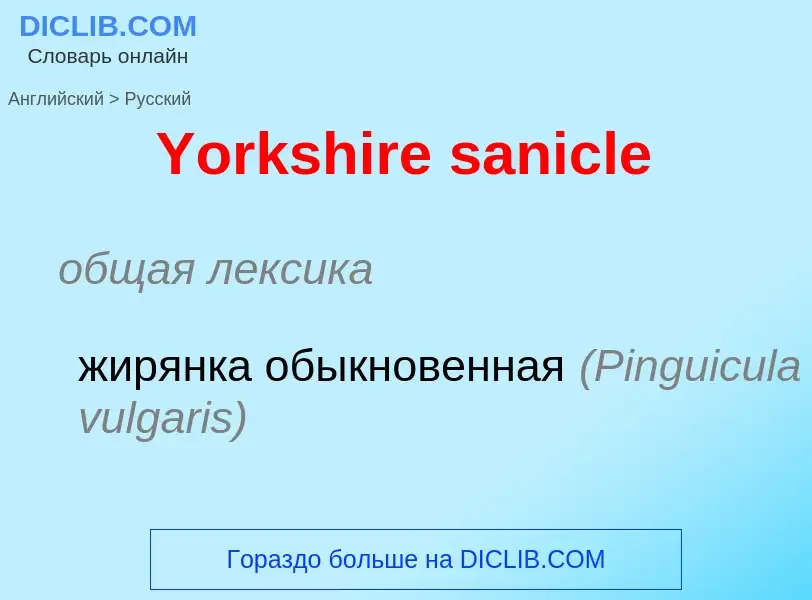 Traduzione di &#39Yorkshire sanicle&#39 in Russo