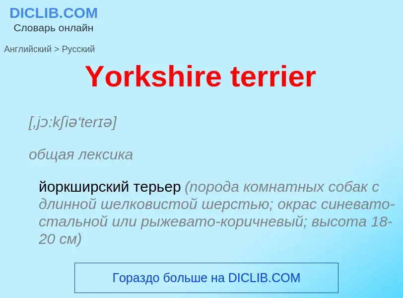 Traduzione di &#39Yorkshire terrier&#39 in Russo