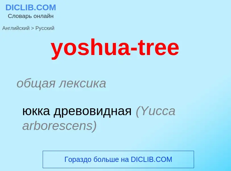 Как переводится yoshua-tree на Русский язык