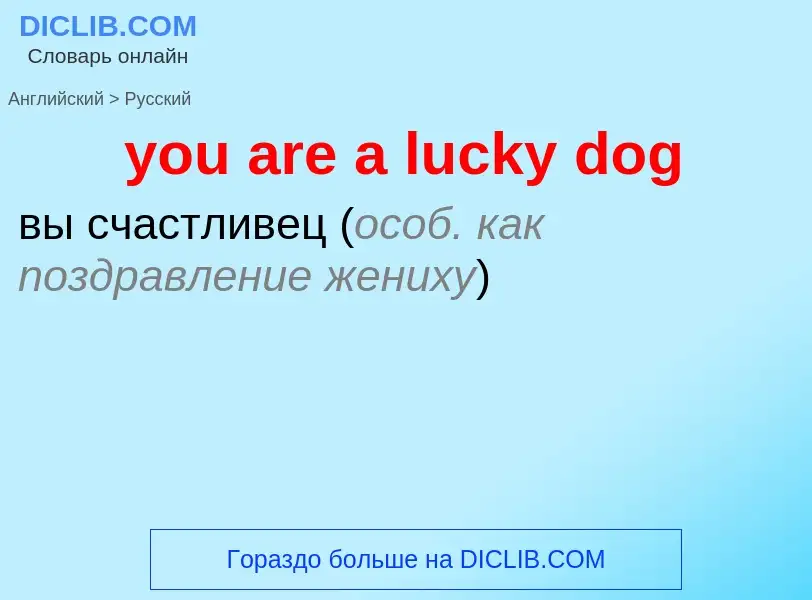 What is the Russian for you are a lucky dog? Translation of &#39you are a lucky dog&#39 to Russian