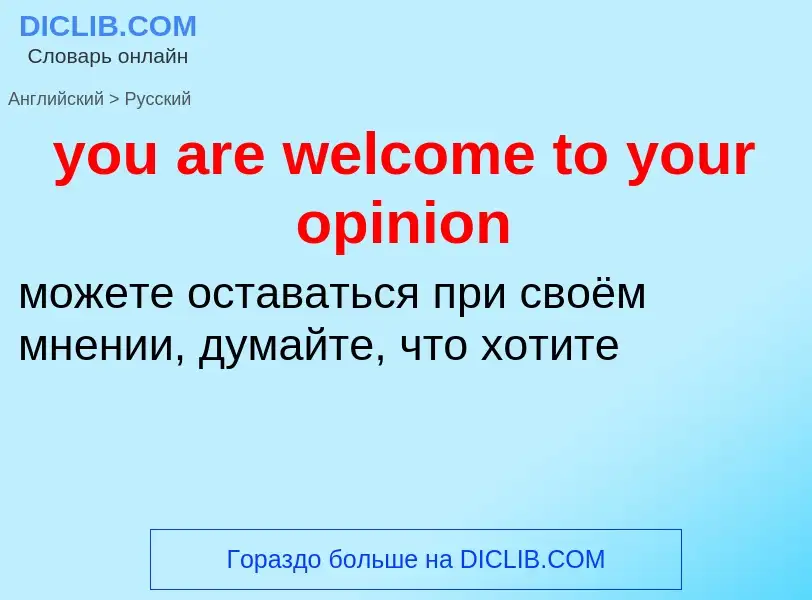 Как переводится you are welcome to your opinion на Русский язык