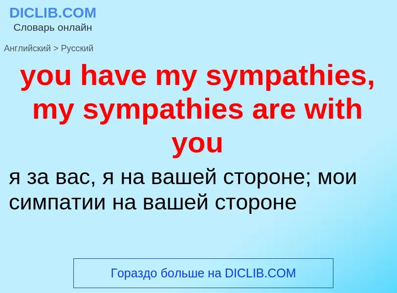 What is the Russian for you have my sympathies, my sympathies are with you? Translation of &#39you h