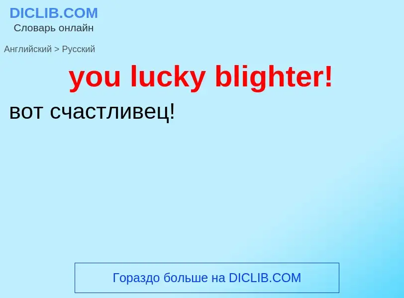 Как переводится you lucky blighter! на Русский язык