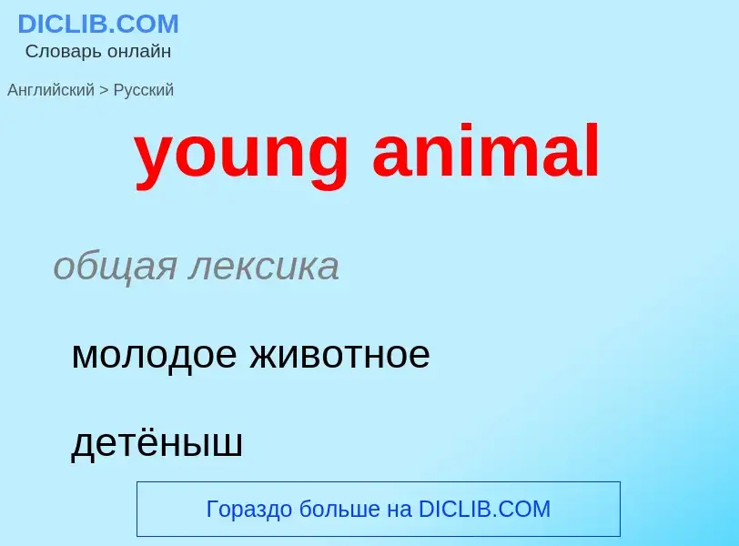 Traduzione di &#39young animal&#39 in Russo