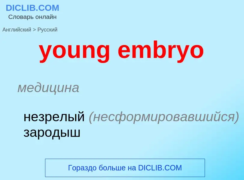 Traduzione di &#39young embryo&#39 in Russo