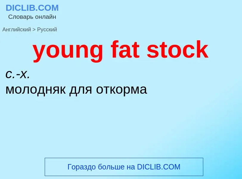 Traduzione di &#39young fat stock&#39 in Russo