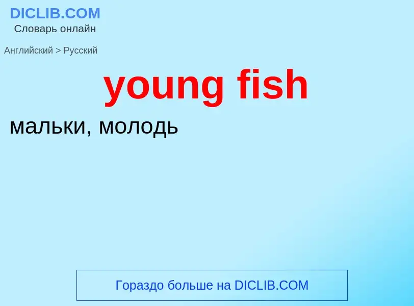 Traduction de &#39young fish&#39 en Russe