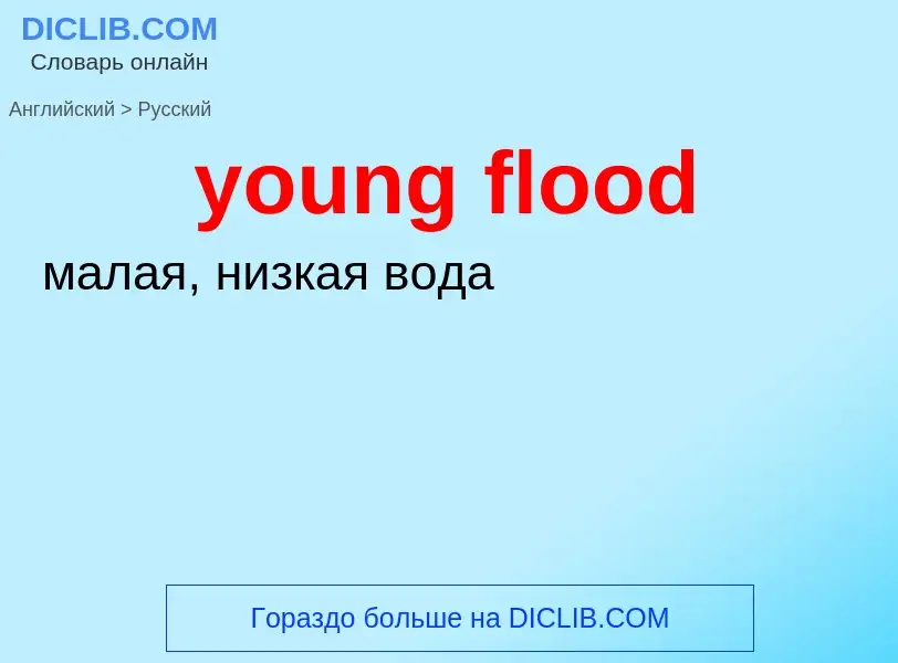 Traduzione di &#39young flood&#39 in Russo