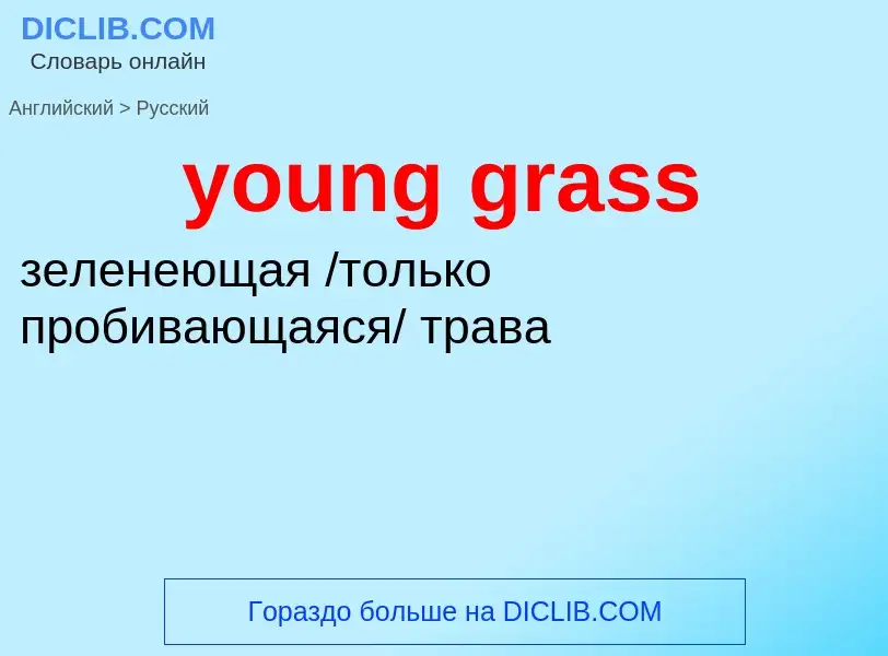 ¿Cómo se dice young grass en Ruso? Traducción de &#39young grass&#39 al Ruso