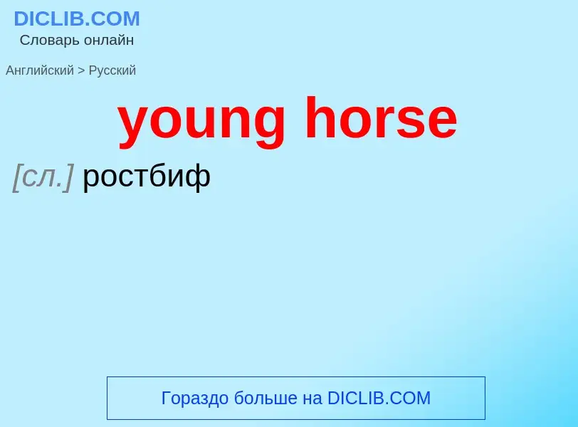 ¿Cómo se dice young horse en Ruso? Traducción de &#39young horse&#39 al Ruso