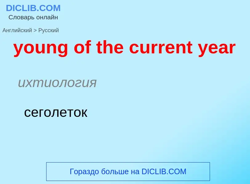 ¿Cómo se dice young of the current year en Ruso? Traducción de &#39young of the current year&#39 al 