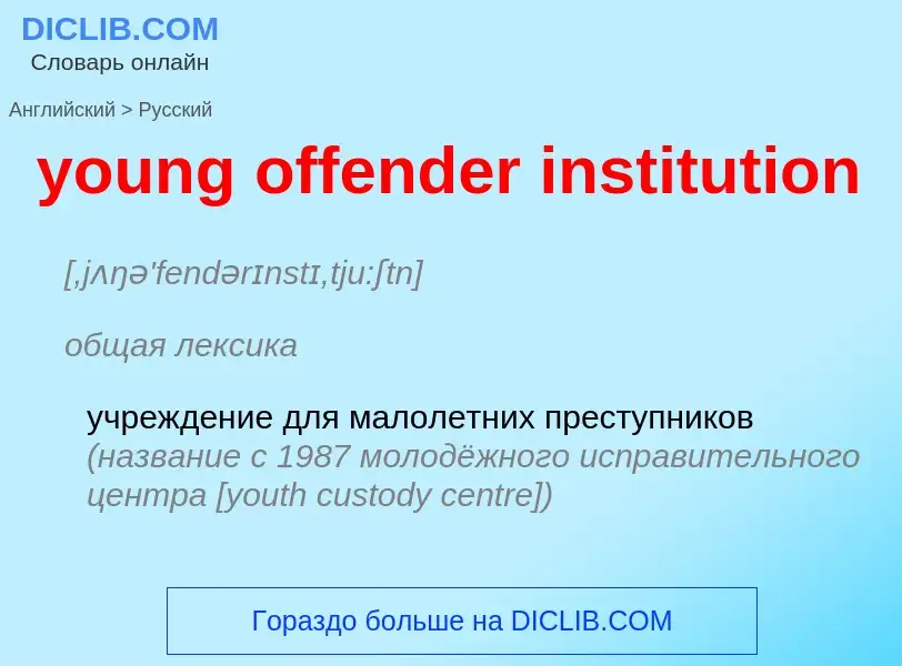 Как переводится young offender institution на Русский язык