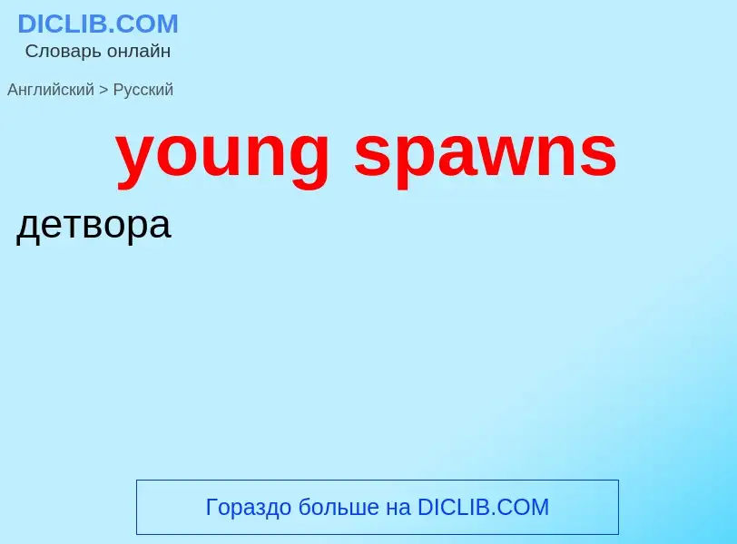 Как переводится young spawns на Русский язык