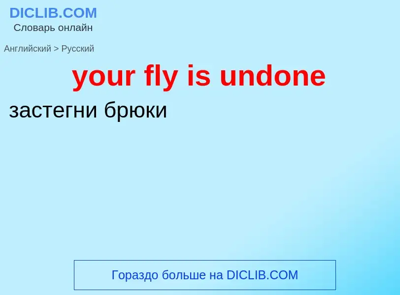 Como se diz your fly is undone em Russo? Tradução de &#39your fly is undone&#39 em Russo