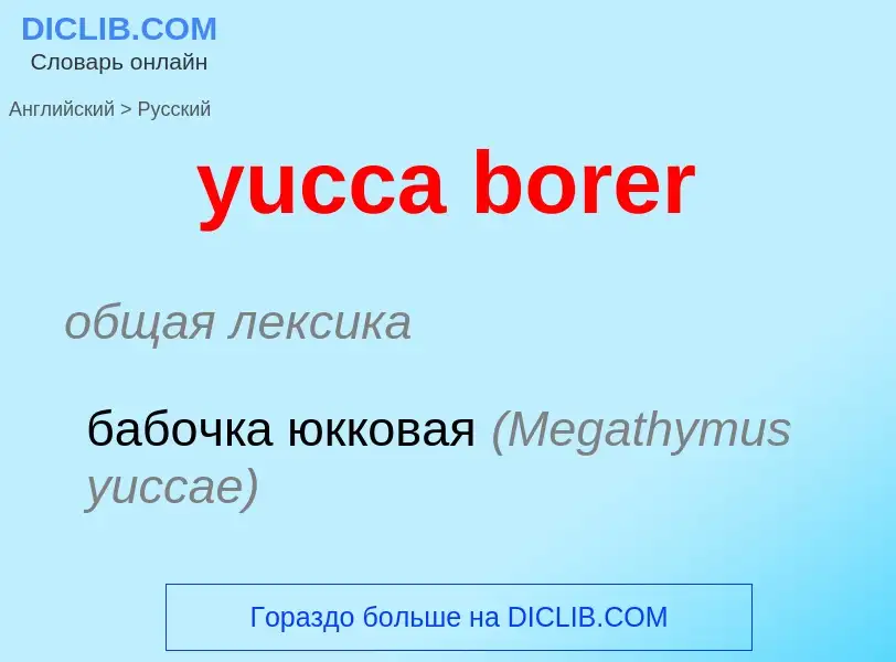 Vertaling van &#39yucca borer&#39 naar Russisch