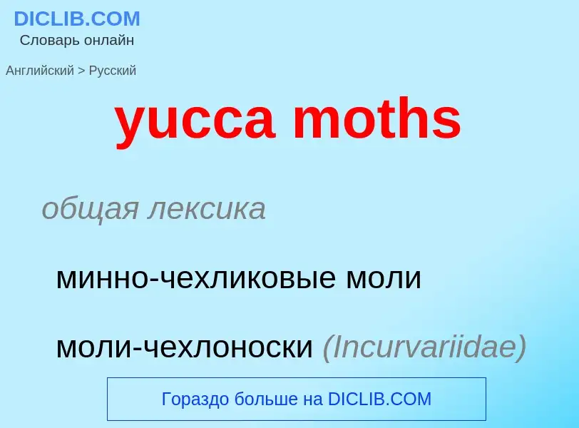 Vertaling van &#39yucca moths&#39 naar Russisch