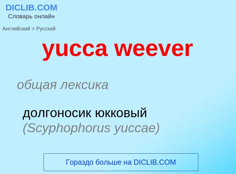 Vertaling van &#39yucca weever&#39 naar Russisch