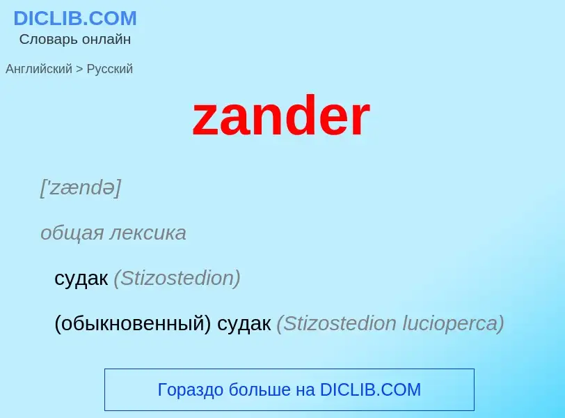 Como se diz zander em Russo? Tradução de &#39zander&#39 em Russo