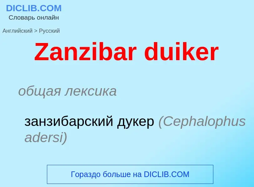 Как переводится Zanzibar duiker на Русский язык