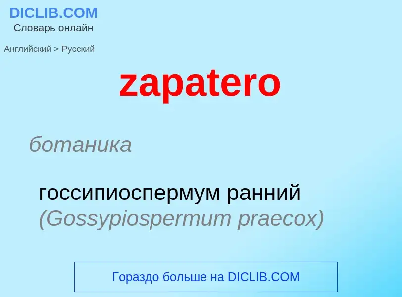 Как переводится zapatero на Русский язык