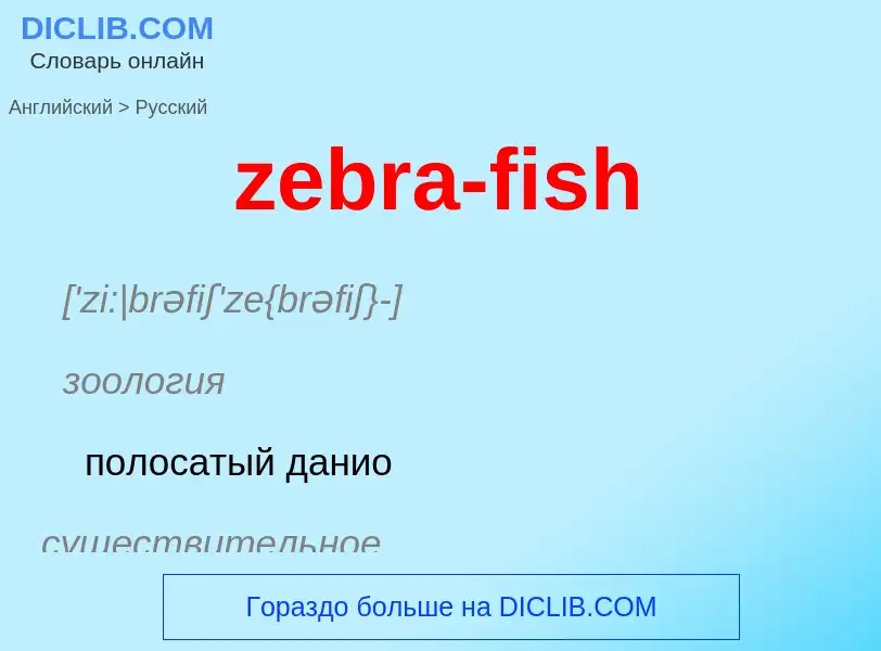 Como se diz zebra-fish em Russo? Tradução de &#39zebra-fish&#39 em Russo