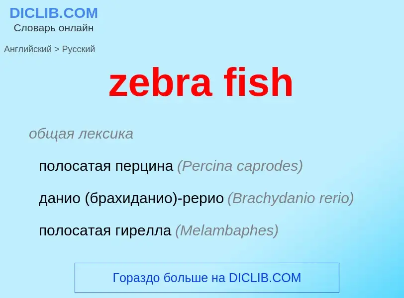 What is the Russian for zebra fish? Translation of &#39zebra fish&#39 to Russian