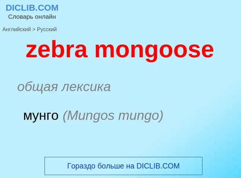 Как переводится zebra mongoose на Русский язык