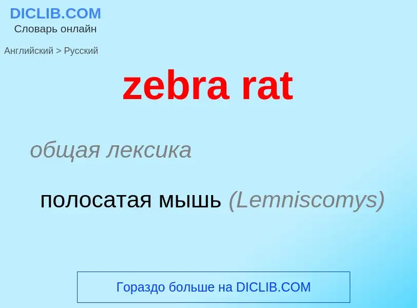 Как переводится zebra rat на Русский язык